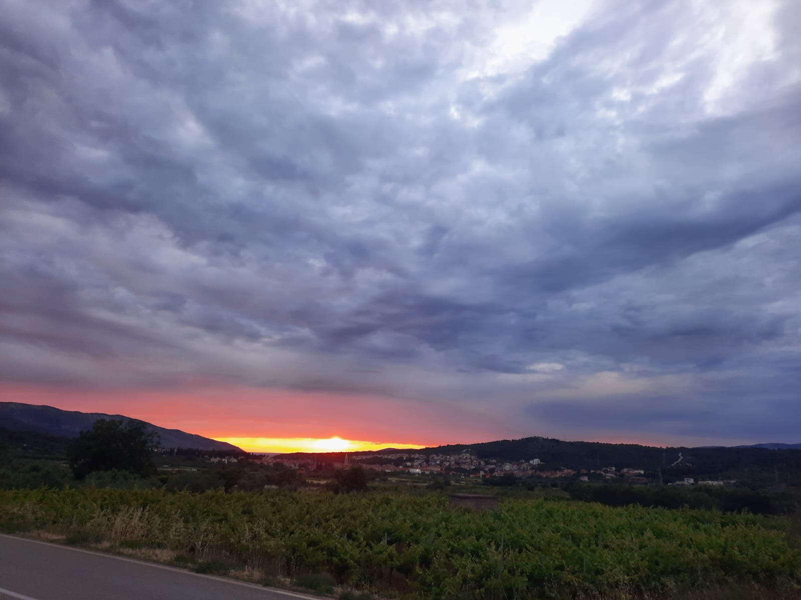 A guide to Hvar's wine country
